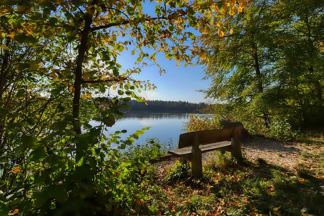 穿着伪装成 穿着伪装成