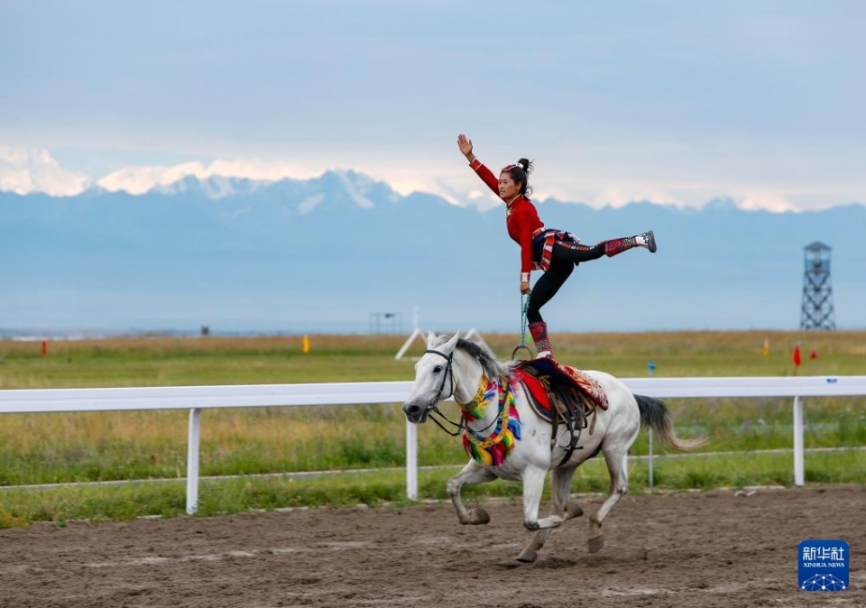 一个周末组 一个周末组