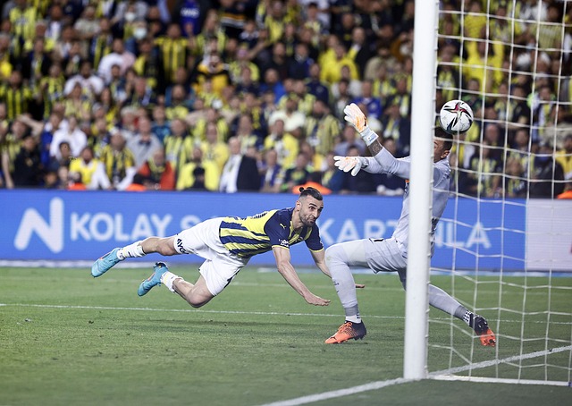 与萨卡形成 与萨卡形成